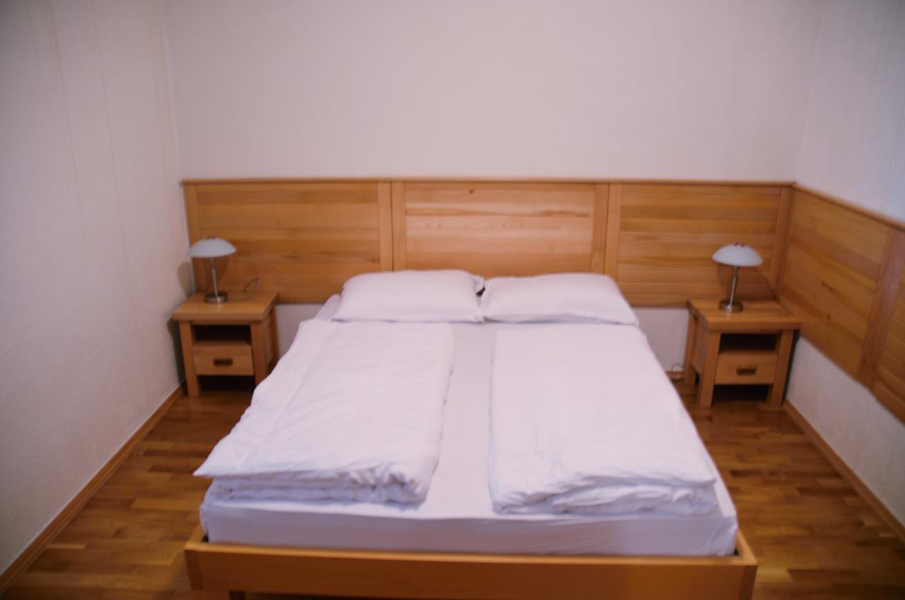 Hotel Borici Сйеница Екстериор снимка